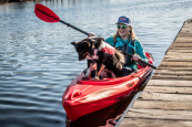 Dog Kayaking